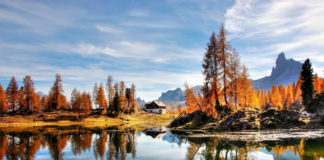 Trekking autunnale: 3 posti in cui ammirare il foliage
