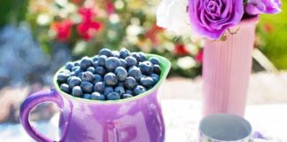 Il mirtillo: un prezioso alleato per il tuo benessere