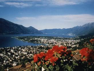 a locarno una mostra sulle camelie_O1