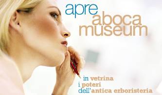 a sansepolcro il museo delle erbe_O1
