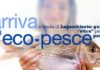 Alimentazione: arriva l’eco-pesce alimentazione arriva l eco pesce_O1