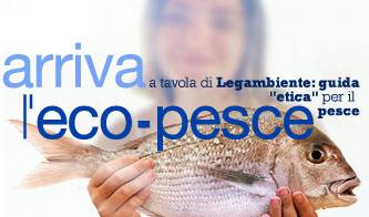 alimentazione arriva l eco pesce_O1