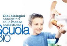 Alimentazione: il biologico a scuola. alimentazione il biologico a scuola_O1
