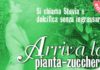 Alimentazione: stevia, la pianta che dolcifica alimentazione stevia la pianta che dolcifica_O1