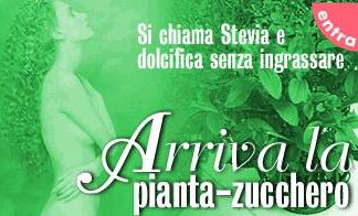 Alimentazione: stevia, la pianta che dolcifica alimentazione stevia la pianta che dolcifica_O1