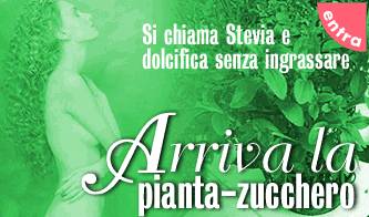 alimentazione stevia la pianta che dolcifica_O1