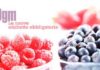 Alimenti trasparenti: con le nuove etichette più libertà di scelta. alimenti trasparenti con le nuove etichette piu liberta di scelta_O1