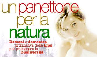 ambiente un buon natale per la natura_O1