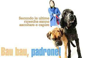 animali cani che ascoltano_O1