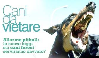 animali cani con la patente_O1