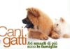 Animali domestici, compagni dei single. animali domestici compagni dei single_O1