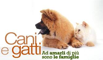 animali domestici compagni dei single_O1