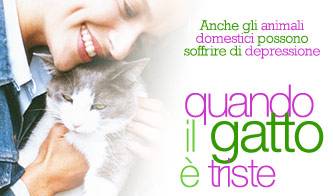 animali piccoli amici stressati_O1
