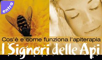 apiterapia curarsi con le api_O1