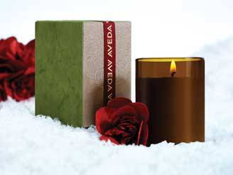 aveda holiday collection 2011_O1