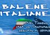Balene e delfini: nasce un santuario italiano balene e delfini nasce un santuario italiano_O1