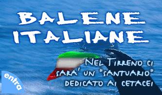 balene e delfini nasce un santuario italiano_O1