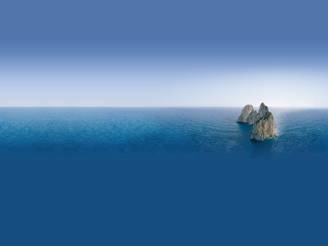 bergamotto di calabria_O1