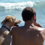 cani al mare_O1