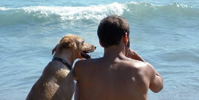 cani al mare_O1