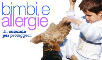 cani e gatti prosciolti dalle accuse_O1