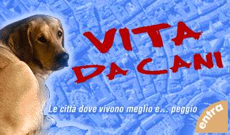 cani la classifica delle citta dove vivono meglio_O1