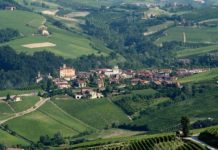 Collisioni Festival collisioni festival_O1