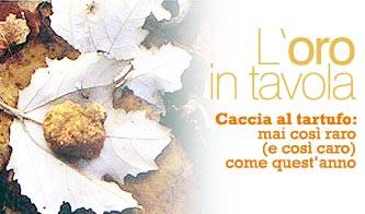 cucina tempo di tartufo_O1