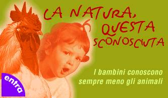 educazione i bambini non conoscono la natura_O1