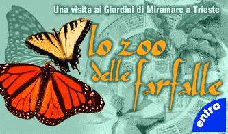 farfalle una mostra vivente a trieste_O1