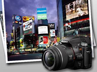 fotofocus un concorso una community un blog_O1