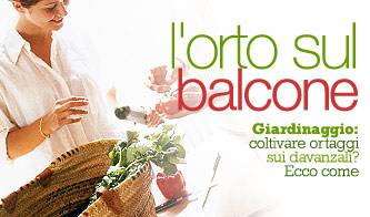 giardinaggio l insalata sul davanzale_O1