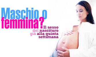 gravidanza ecco il test della quinta settimana_O1