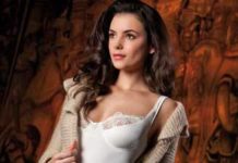 Intimo 100 per cento made in italy intimo 100 per cento made in italy_O1