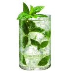 l estate profuma di menta con il mojito_O1
