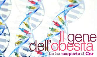 l obesita tutta colpa di un gene_O1