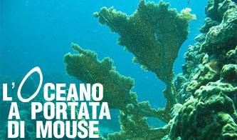l oceano a portata di mouse_O1