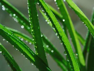 la bellezza si fa bio con bioagricert_O1