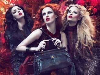 la campagna roberto cavalli_O1