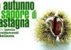 La doppia vita della castagna: dalla tavola ai trattamenti wellness. la doppia vita della castagna dalla tavola ai trattamenti wellness_O1