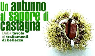 la doppia vita della castagna dalla tavola ai trattamenti wellness_O1