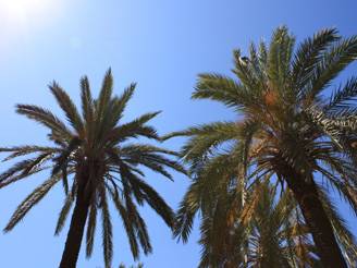 la valigia dei single_O1