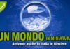 Le biosfere: mondi in miniatura le biosfere mondi in miniatura_O1