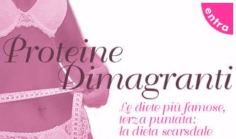 le diete famose la dieta scarsdale_O1