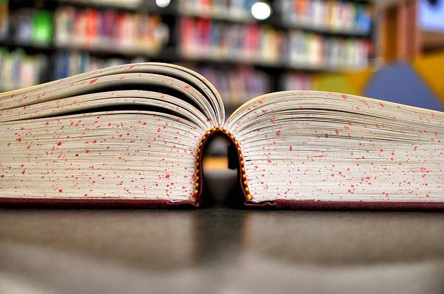 libro o e book_O1
