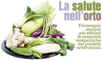 medicina curarsi con le piante_O1