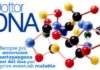 Medicina: la salute nel dna. medicina la salute nel dna_O1
