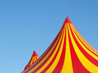 microcirco a ferrara_O1