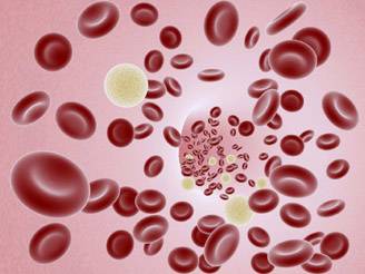 nasce boehringer ingelheim research italia_O1