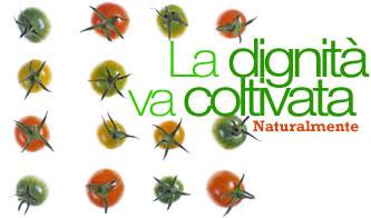nelle botteghe di altromercato regnano il bio e il naturale_O1